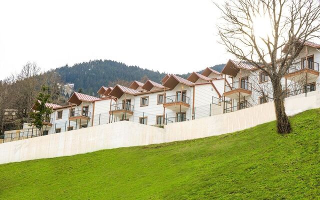 Koliva Otel