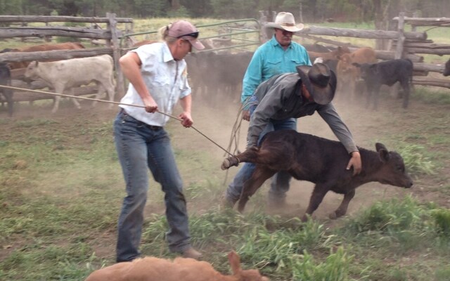 Grand Canyon Ranch & Outfitters