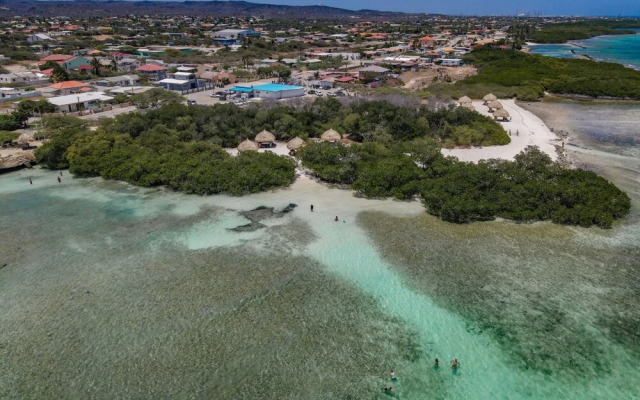2 min Walk to Ocean - Mangel Halto Aruba
