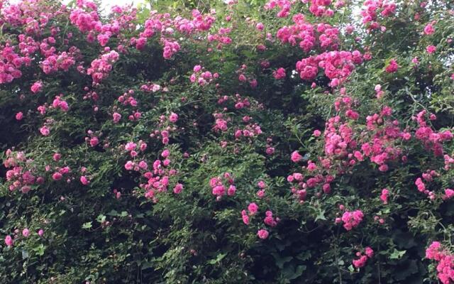 Secret pearl! Amalfi Coast, Pompei & Naples Free parking