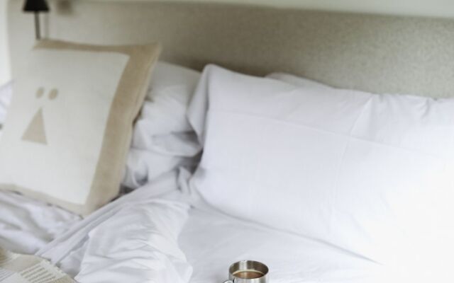 Tälta Lodge, A Bluebird by Lark