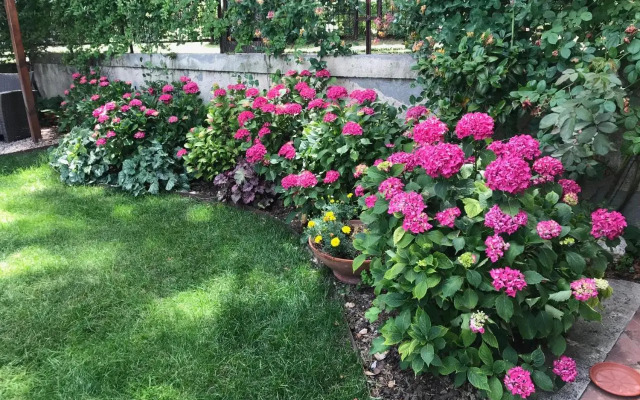 Il Giardino della Fortezza