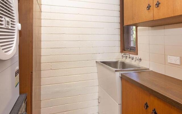 Grey Kangaroo- On Lake Jindabyne foreshore