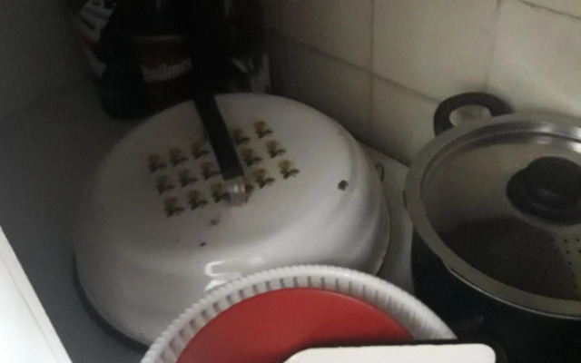 Maral -33- Mi Lugar en el Mundo