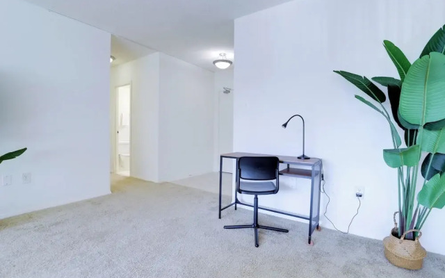 Spacious 2BR Apartment in Crystal City