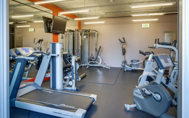 Stay Alfred on 6th Avenue