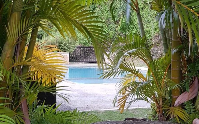 Mountain Lodge Suites