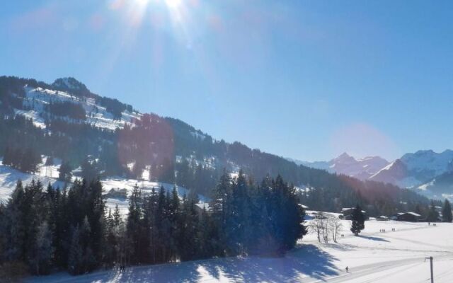 Apartment Media Saanenmöser