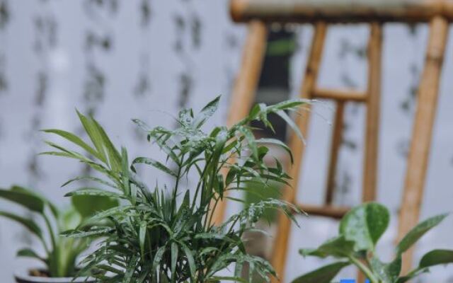 Xi'an Baishiyunju Homestay (Qinling Wildlife Park Branch)