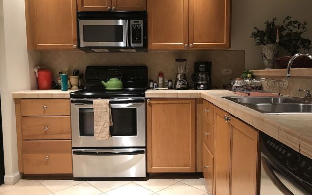 CR Luxury Los Sueños Condos