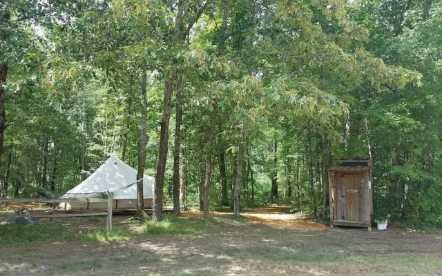 Sassy Springs Retreat