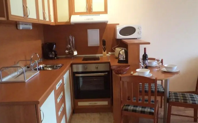 Snow Lodge Alexander Services Apartments