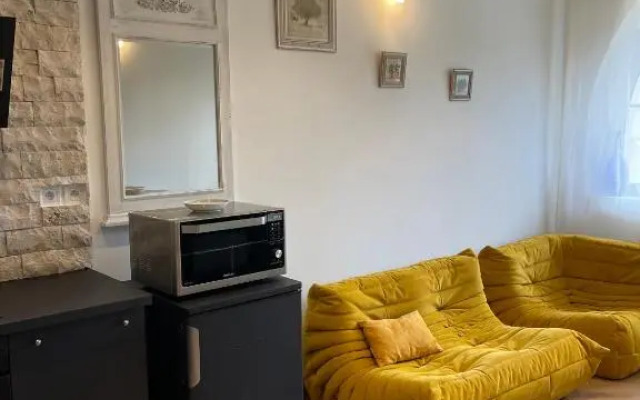 Superbe 40 m2 tout confort au cœur de Dijon