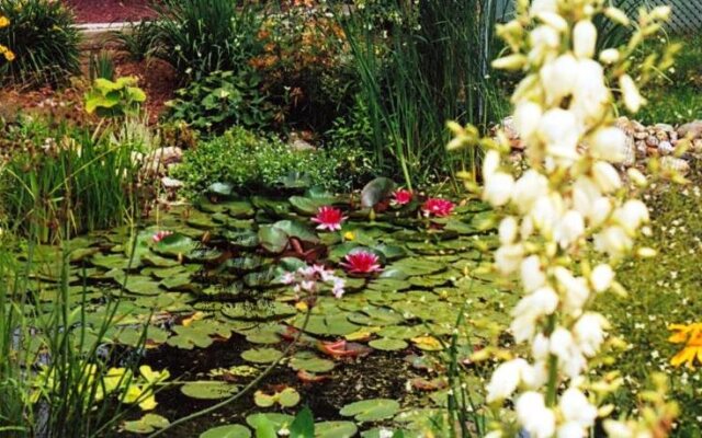 Au Domaine Gite Vallée des Roseaux