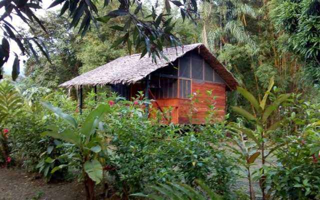 Rio Mar Bahía Solano Choco Colombia