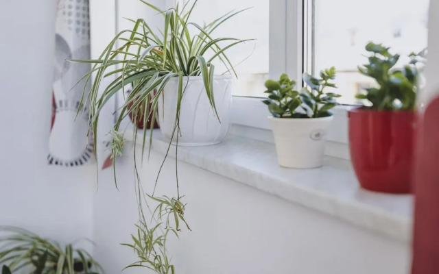 Appartements Sulzer - TOP 31