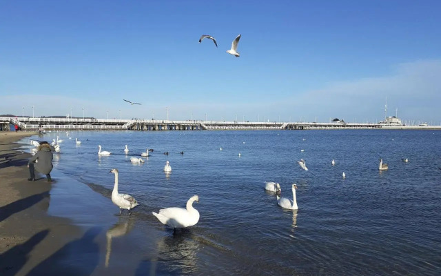 Apartament Sopot Karlikowska 13b 5 - 3 min do plaży