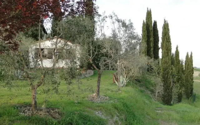 Il pollice verde