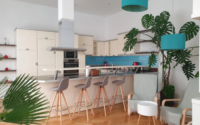 Sunny and spacious apartment near city centre