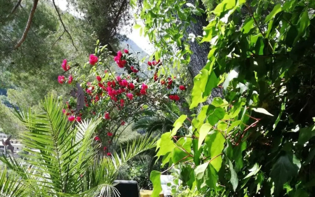 Tuinappartement - Castel D'incze