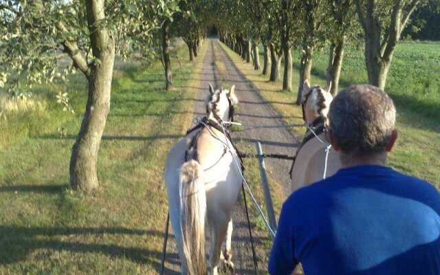 Bindesbølgård Farm Holiday