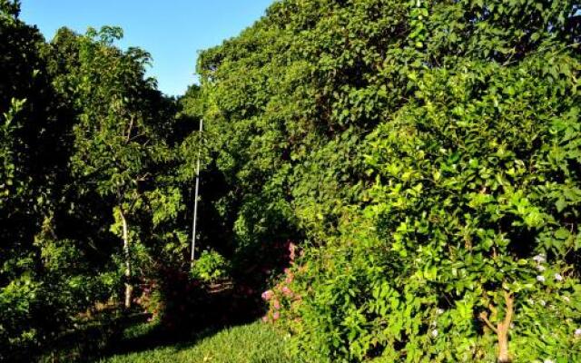 Casa Mariposa Monteverde