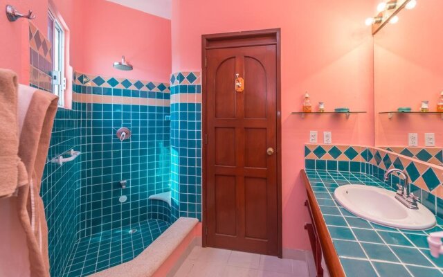 Casa Gatos