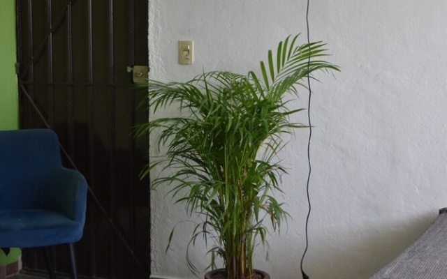 Casa Alixel