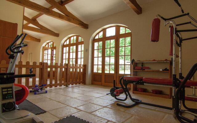 Luxorious Mansion in Saint-Preuil with Sauna