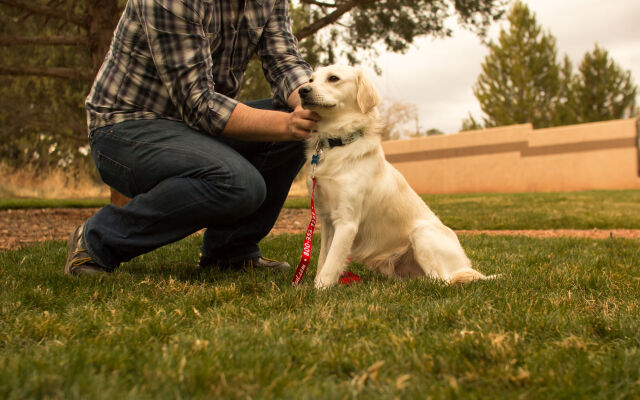 Mountain Modern Sedona