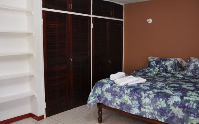 New Kingston Guest Apartment VII