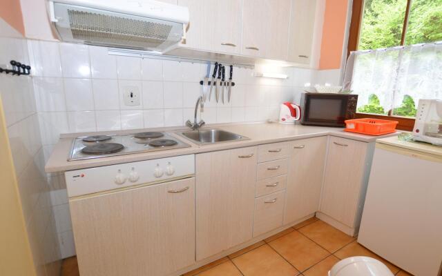 Snug Apartment in Jachymov near Ski Area