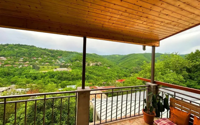 Hotel VIM in Sighnaghi