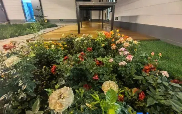 Suyi Courtyard Homestay in Tekes