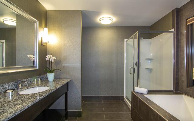 Holiday Inn Carlsbad by IHG