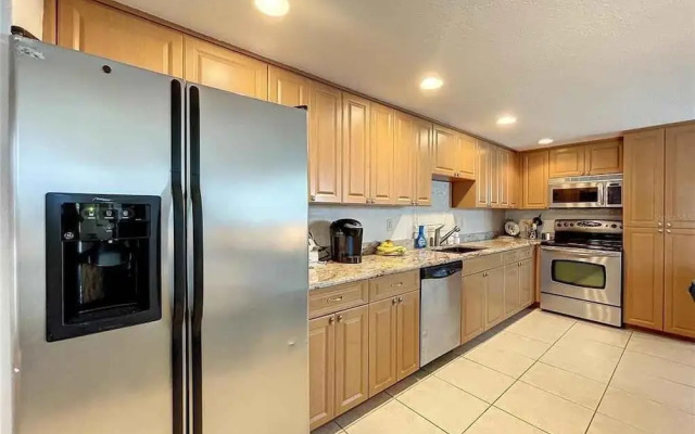 Enjoy Sunset with Dolphin and Manatee