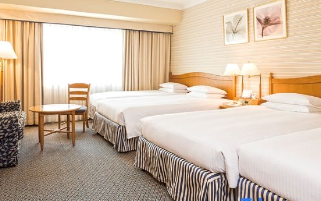 Superior Quadruple room 사진 1