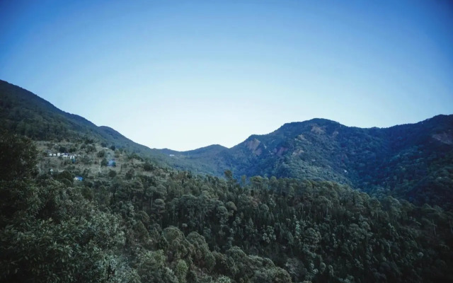 Minikins - Resorts & Restaurant