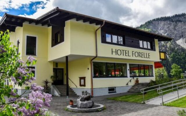 Hotel Forelle
