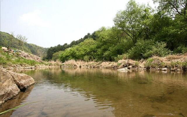 Pocheon Neulpureun Pension