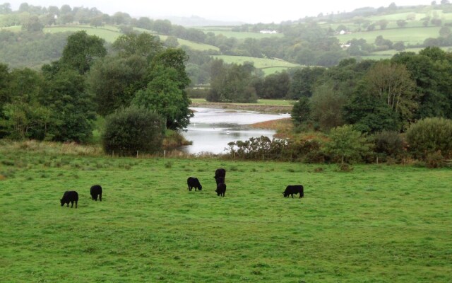 Beautiful Apartment With Jacuzzi Surrounded By The Nature Of Llandovery