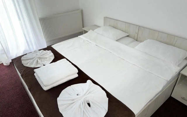 TreeZ Hostel