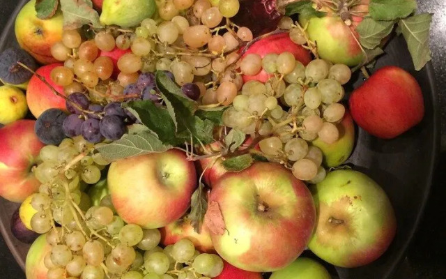 Chambres d'hôtes Spa Ventoux Provence