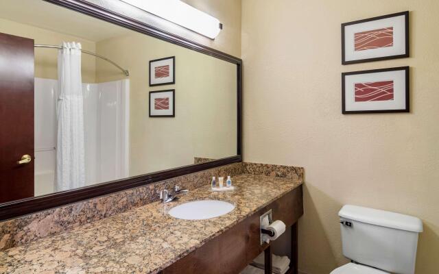 Comfort Inn & Suites Suwanee - Sugarloaf