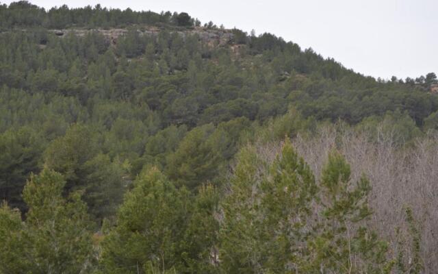 Apartamento Casa Rafa