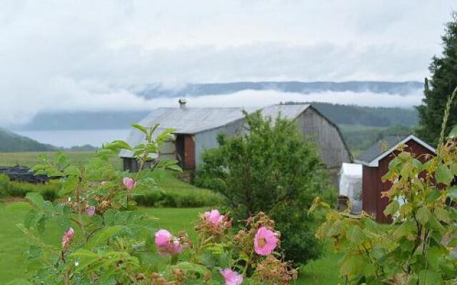 The Rustic House of the Fjord