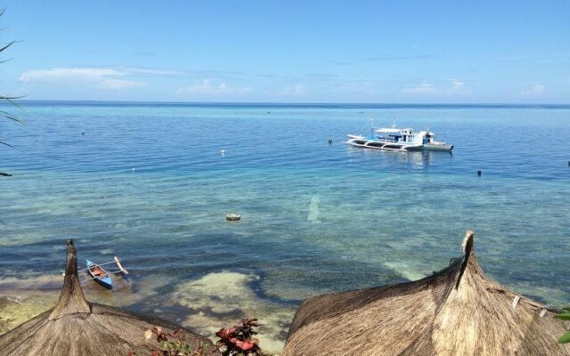 Dive Point Alcoy