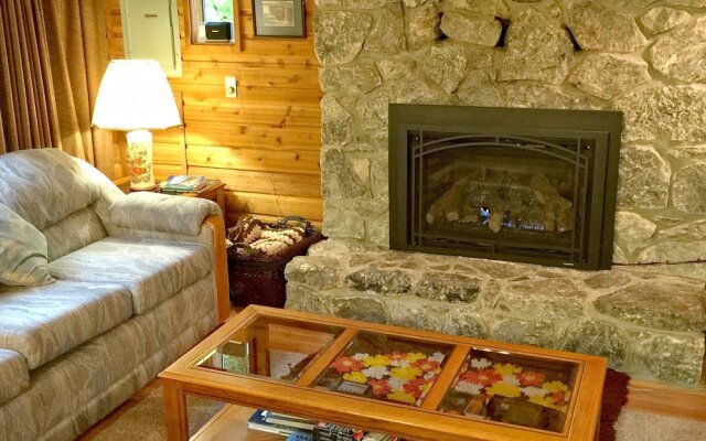 Snowline Cabin #35 - A Pet-friendly Country Cabin. Now has air Conditioning!