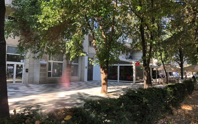 Green Apartment 63