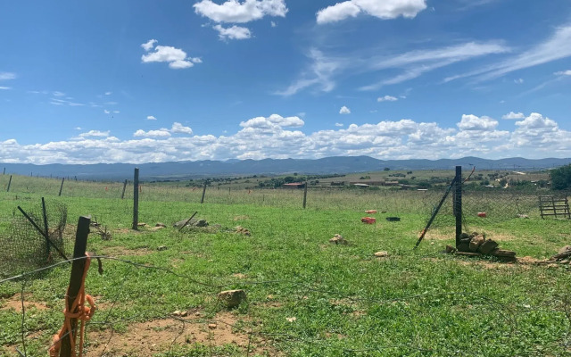 La Almazara de Valdeverdeja